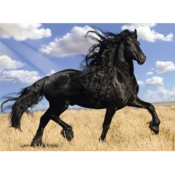 Nathan (87223) - "Perle Noire" - 500 pièces