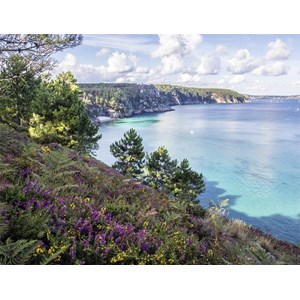 Nathan (87879) - "Plage de Crozon" - 2000 pièces