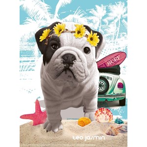 Nathan (87239) - "Téo California" - 500 pièces