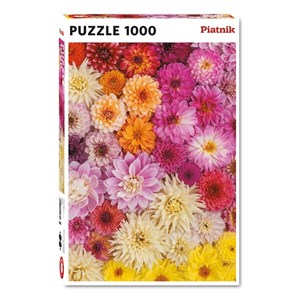 Piatnik (5518) - "Dahlias" - 1000 pièces
