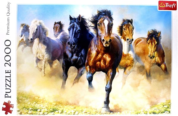Trefl (27098) - "Chevaux au Galop" - 2000 pièces