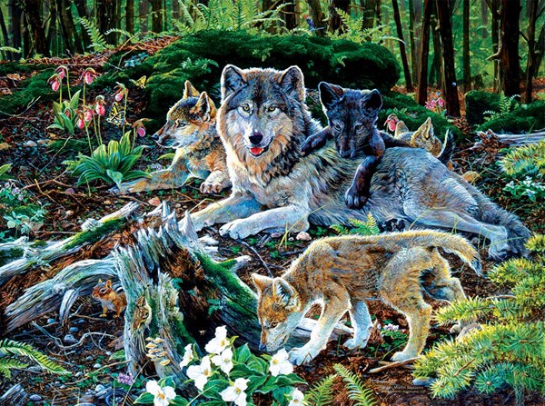 SunsOut (60506) - Jan Martin McGuire: "Forest Wolf Family" - 500 pièces