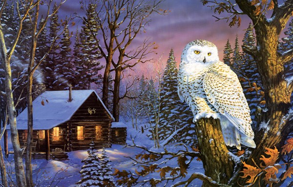 SunsOut (71230) - Terry Doughty: "Night Watch" - 1000 pièces