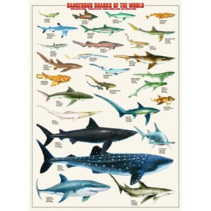 Eurographics (6000-0264) - "Requins dangereux" - 1000 pièces