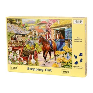 The House of Puzzles (4715) - "Stepping Out" - 1000 pièces