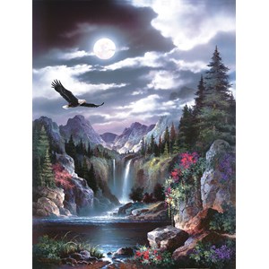 SunsOut (18005) - James Lee: "Moonlit Eagle" - 300 pièces