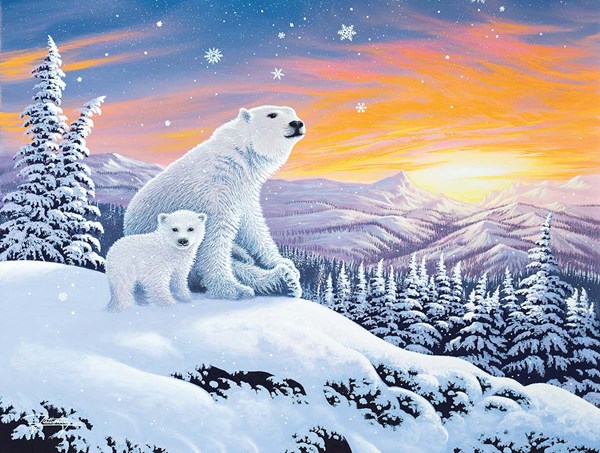 SunsOut (70266) - "The Snow Bears" - 300 pièces