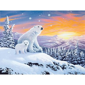 SunsOut (70266) - "The Snow Bears" - 300 pièces