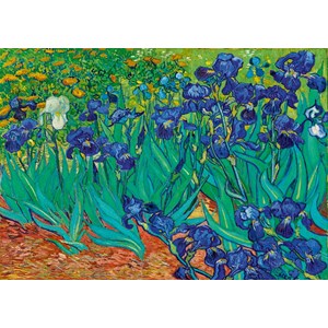 Bluebird Puzzle (60006) - Vincent van Gogh: "Irises, 1889" - 1000 pièces