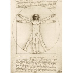 Bluebird Puzzle (60009) - Leonardo Da Vinci: "The Vitruvian Man, 1490" - 1000 pièces
