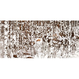 SunsOut (74415) - Bev Doolittle: "Woodland Encounter" - 1000 pièces