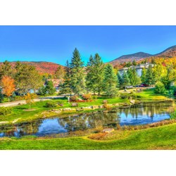 Bluebird Puzzle (70023) - "Stowe, Vermont, USA" - 1000 pièces
