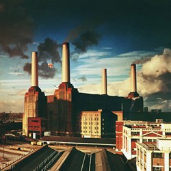 Zee Puzzle (26809) - "Pink Floyd, Animals" - 1000 pièces