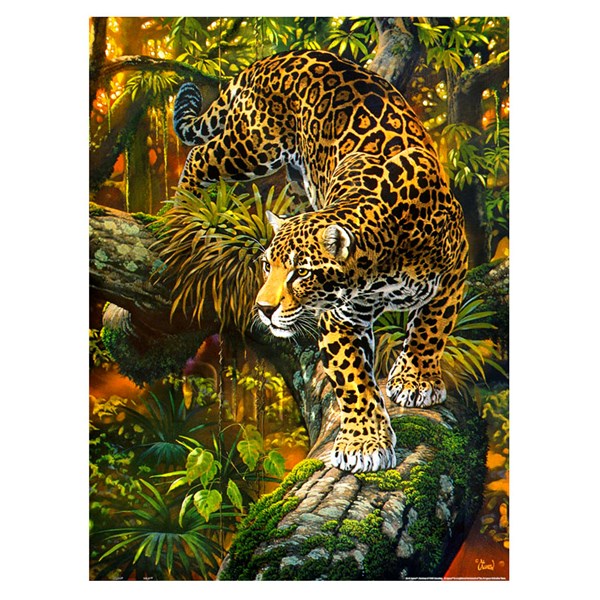 Pintoo (h2078) - Al Agnew: "High Intensity" - 1200 pièces