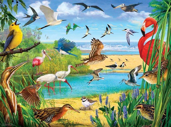 SunsOut (70028) - R. Christopher Vest: "Florida Birds" - 1000 pièces