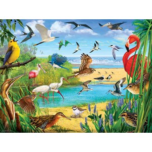 SunsOut (70028) - R. Christopher Vest: "Florida Birds" - 1000 pièces