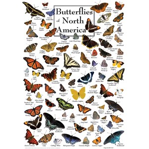 MasterPieces (71971) - "Butterflies of North America" - 1000 pièces