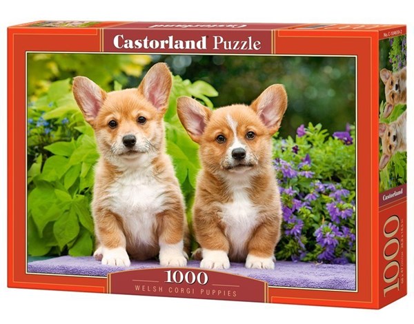 Castorland (C-104659) - "Welsh Corgi Puppies" - 1000 pièces