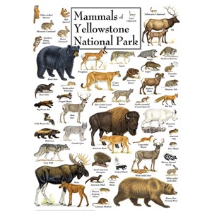 MasterPieces (71974) - "Mammals of Yellowstone National Park" - 1000 pièces