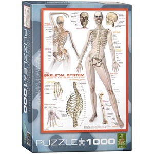 Eurographics (6000-2014) - "The Skeletal System" - 1000 pièces
