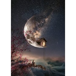 Schmidt Spiele (59904) - Natacha Einat: "Dream Whisper" - 1000 pièces