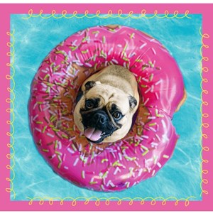 Trefl (34845) - "Dogs" - 20 36 50 pièces