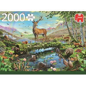 Jumbo (18357) - "Wildlife Splendour" - 2000 pièces