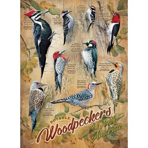 Cobble Hill (85007) - Susan Bourdet: "Notable Woodpeckers" - 500 pièces