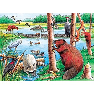 Cobble Hill (58802) - "The Beaver Pond" - 35 pièces