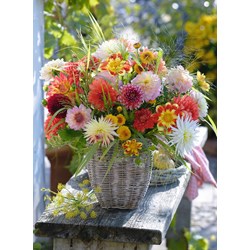 Ravensburger (14343) - "Beautiful Flowers" - 500 pièces