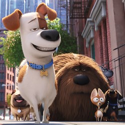 Ravensburger (09413) - "Secret Life of Pets" - 49 pièces