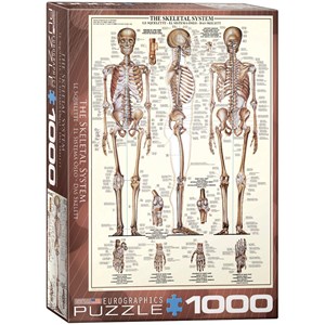 Eurographics (6000-3970) - "Le Système Squelettique" - 1000 pièces