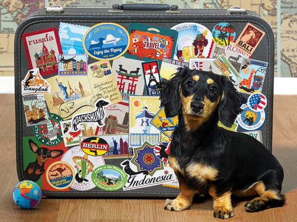Cobble Hill (52107) - "Dachshund 'Round the World" - 500 pièces