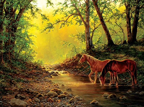 SunsOut (48851) - Chris Cummings: "Still Water Setting" - 1000 pièces