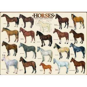 Eurographics (6000-0078) - "Chevaux" - 1000 pièces