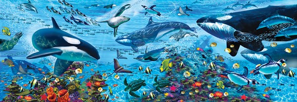 SunsOut (80119) - John Enright: "Arctic Vista" - 500 pièces