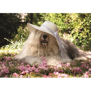 Jumbo (18530) - "Sophie dans un Lit de Fleurs" - 500 pièces