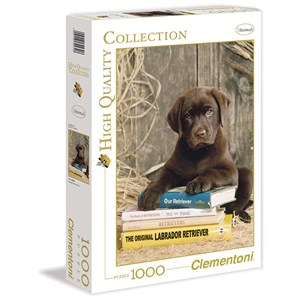 Clementoni (39230) - "Laying on the Books" - 1000 pièces