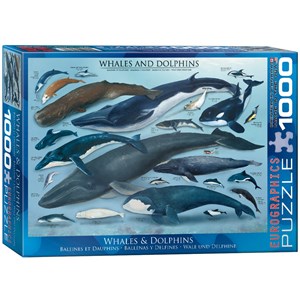 Eurographics (6000-0082) - "Dauphins et Baleines" - 1000 pièces
