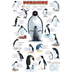 Eurographics (6100-0044) - "Penguins" - 100 pièces