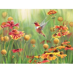 Cobble Hill (52078) - "Rufous Hummingbird" - 500 pièces