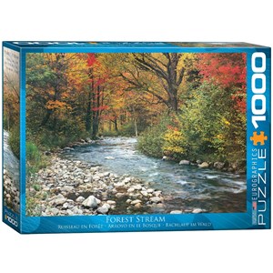 Eurographics (6000-2132) - "Cours d'eau dans la Forêt" - 1000 pièces