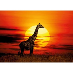 Heye (29688) - "Sunny Giraffe" - 1000 pièces