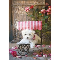 Educa (16272) - "Be My Valentine" - 500 pièces