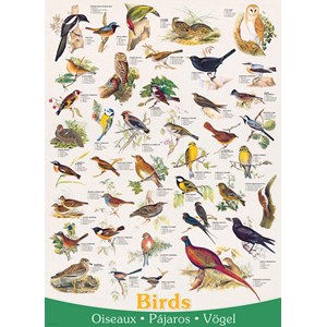 Eurographics (6000-1259) - "Affiche sur les Oiseaux" - 1000 pièces