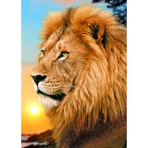 Trefl (371918) - "Lion" - 500 pièces