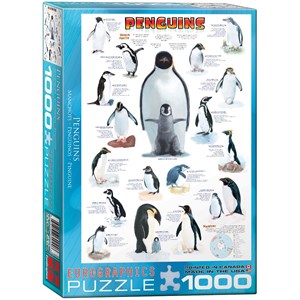 Eurographics (6000-0044) - "Les pingouins" - 1000 pièces
