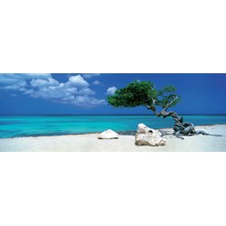 Heye (29399) - Alexander von Humboldt: "Divi Divi Tree" - 1000 pièces