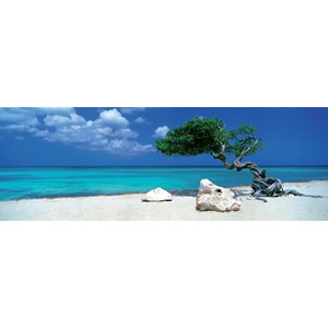 Heye (29399) - Alexander von Humboldt: "Divi Divi Tree" - 1000 pièces