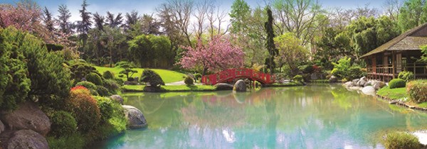 Jumbo (18571) - "Jardin Coloré" - 1000 pièces